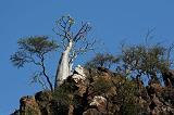 IMG_5255 Wadi Dirhur, Socotra
